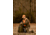 Tenzing Tzw Whitetail Day Pack, 2100 cubic in, Olive Green, TZG-TNZW-1500-OG