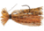 Terminator Finesse Jig, Pumpkin Orange, 1/8oz, FJ1871
