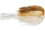 Terminator Power Pulse Skirt, Gold Shiner, Pack of 2, PSK83