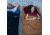 TETON Sports Bridger -35 F Canvas Sleeping Bag, Pecan/Fox, Long, 10011