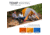 TETON Sports Celsius 0 F Sleeping Bag, Brown/Pink, Regular, 178R