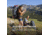 TETON Sports Hiker 3700 Backpack, Navy Blue, 60L, 1005N