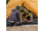 TETON Sports Mountain Ultra 3-Person Tent, Grey, 2007GY