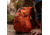 TETON Sports Oasis 18L Hydration Pack with 2L Bladder, Burnt Orange, 2101SCBO