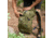 TETON Sports Oasis 18L Hydration Pack with 2L Bladder, Olive, 2101SCOL