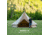 TETON Sports Sierra Canvas Tent, 8 Person, Brown, 2013