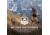 TETON Sports TrailRunner 2L Hydration Pack, Arcadia, 2100SCAC