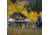 TETON Sports Vista 2-Person Quick Tent, Yellow, 2003YL