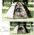 Texsport Camouflage Hexagon Dome Tent 01113TEX