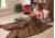 Texsport Fleece Sleeping Bag, Buck Brown, 15203