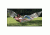 Texsport Seaview Rope Hammock, Cotton 14270TEX