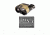 Thermal Eye X200XP Thermal Imaging Infrared Camera PAL 3000300-2