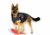 Thin Blue Line Dog Harness, , Thin Blue Line - DOG-HARN-TBL-LARGE-KIT