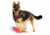 Thin Blue Line Dog Harness, , Thin Red Line - DOG-HARN-TRL-LARGE-KIT
