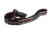 Thin Blue Line Dog Leash, Thin Red Line Stars &amp; Stripes - TRL-AM-LEASH