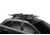 Thule Snow Packs, 4 Pairs, Black, 7324B