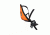 Thule Yepp Nexxt Mini Kid's Bike Seat, Vibrant Orange 12080105