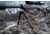 Tier One Atac Bipod - Carbon QD Picatinny Tilt Only 9in, Grey, T1ATACC-LTPIC