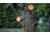 Timber Creek Rack Em Clay Pigeon Holder, 3-Pack, Black, TC CPH