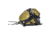 Timber Ninja Ultimate Saddle Starter Kit, Regular, Olive/Black, USKR97930