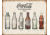 Tin Signs Coke Bottle Evolution Tin Sign TSN1839