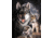 Tin Signs Graham Wolf Experienc Tin Sign TSN0914