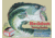 Tin Signs Heddons Frogs Tin Sign TSN1005