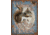 Tin Signs Nut House Welcome Tin Sign TSN1824