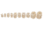 Tipton Cleaning Pellets, 50 Cal., 50ct, White, 1099944