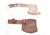 Titan 15N20/1095 Damascus Steel Hatchet, TD-014, Walnut Wood, Damascus Bolster Handle, 5.5in. Blade TDK-14