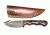 Titan Damascus Skinning Gut Hook, Hunting Knife by Titan TD-176, 4in TD-176