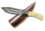Titan Damascus Steel Hunting Knife by Titan TD-172, 8.1in, TDK-172