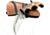 Titan International Knives Fixed Blade Knife, 2.5in, Carbon Steel, Karambit, Black Walnut TC-53