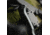 Toor Knives Krypteia T Fixed Blade Knife, 4in, CPM M4 Steel, G10 Handle, Phantom Grey, Black Hydro Static, Krypteia T - Phantom Grey