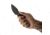 Toor Knives Vellum Fixed Blade Knife, 3.5in, CPM 154, Ebony Handle, Spanish Moss, Vellum-Spanish Moss