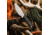 Toor Knives Vellum Fixed Blade Knife, 3.5in, CPM 154, Ebony Handle, Spanish Moss, Vellum-Spanish Moss