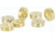 Top Brass PCT-012ABR Carolina Tickers/Brass 12Pk, PCT-012ABR