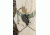 Tops Knives Backwoods Skinner Fixed Blade Knife, Coyote Tan, 3in, SKIN-01
