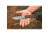 TOPS Knives Brakimo Fixed Blade Tungsten