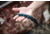 TOPS Knives Devil's Claw 2 Fixed Blade Knife, 3.13in, 1095 Carbon Steel Blade, Blue/Black G10 Handle, DEVCL-02