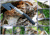Tops Knives FAX Fast Axe 2,High Carbon Steel Blade,Black And Gray Handle TPFAX02