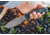 Tops Knives Idaho Hunter Fixed Blade Knife, Snake River Edition, Black, 4.75in, TIH-03