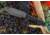 Tops Knives Idaho Hunter Fixed Blade Knife, Snake River Edition, Black, 4.75in, TIH-03