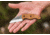 Tops Knives Little Bugger Fixed Blade Knife, Tan, 2.38 in LILB-01