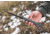 Tops Knives Longhorn Bowie Micarta Fixed Blade Knife, w/Black River Wash and RMT, Black, 6.75in, LONGB-06