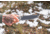 Tops Knives Longhorn Bowie Micarta Fixed Blade Knife, w/Black River Wash and RMT, Black, 6.75in, LONGB-06