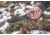 Tops Knives Longhorn Bowie Micarta Fixed Blade Knife, w/Black River Wash and RMT, Black, 6.75in, LONGB-06