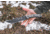 Tops Knives Longhorn Bowie Micarta Fixed Blade Knife, w/Black River Wash and RMT, Black, 6.75in, LONGB-06