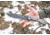 Tops Knives Longhorn Bowie Micarta Fixed Blade Knife, w/Black River Wash, Black, 6.75in, LONGB-05