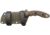 TOPS Knives Sheep Creek Knife, 3.75in, 154CM, Fixed Blade, Green w/ Tan liner, SPCK-01